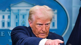 Donald Trump: air crash investigator-in-chief?