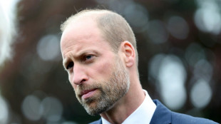 Britischer Kronprinz William will Monarchie "zum Besseren" ver&auml;ndern