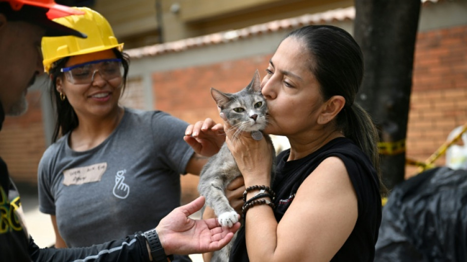 Sobreviventes reencontram animais de estima&ccedil;&atilde;o ap&oacute;s terremoto na Col&ocirc;mbia