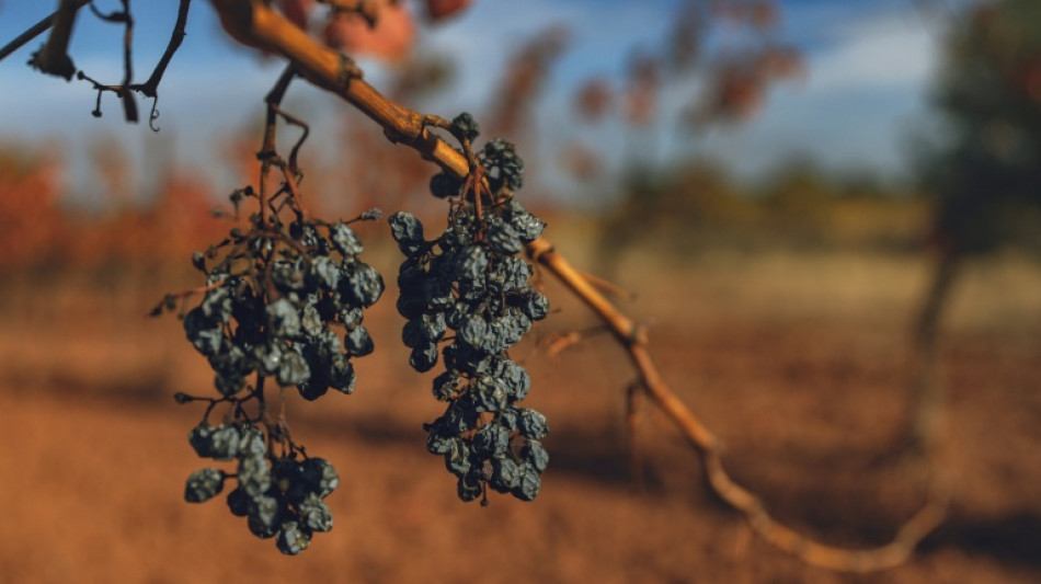 Catastrophes naturelles: la moiti&eacute; des d&eacute;g&acirc;ts assur&eacute;s caus&eacute;s par la s&eacute;cheresse en 2025