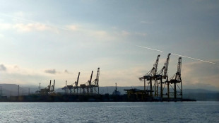 Porto Trieste, movimentazione in crescita, aumentano rinfuse (+5%), calano teu (-4%)