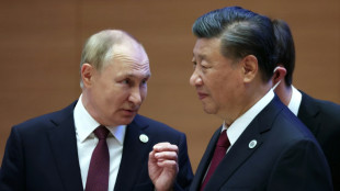Putin und Xi f&uuml;hren Gespr&auml;ch per Videoleitung