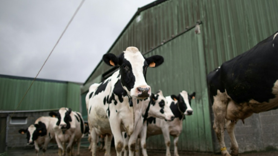 Agrarminister Rainer sichert Milchbauern Unterst&uuml;tzung ohne Markteingriff zu