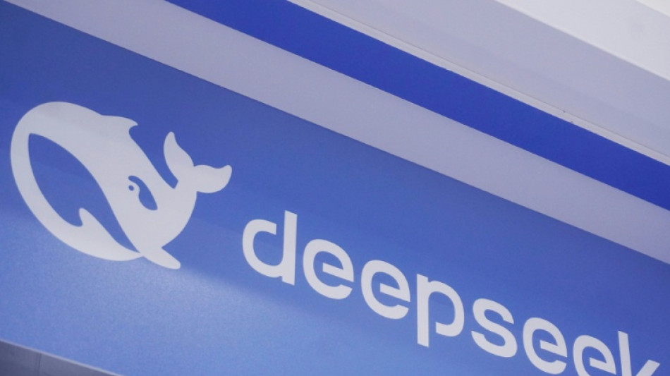 US crackdown on top AI fuels open-source surge