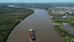 El gobierno argentino confirma que una empresa belga operar&aacute; la hidrov&iacute;a Paraguay-Paran&aacute;