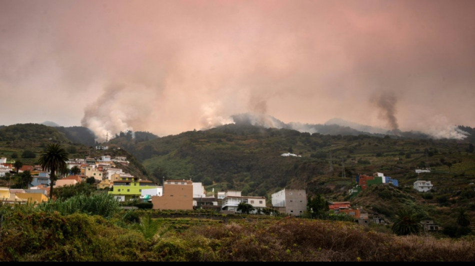 Feuerwehr kann bei Waldbrand auf Teneriffa H&auml;user vor Flammen sch&uuml;tzen