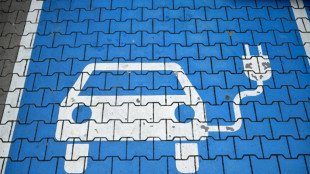 Gro&szlig;es Sparpotenzial beim Laden von E-Autos gegen&uuml;ber Tanken