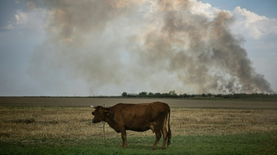 Bundesagrarministerium stellt 14 Millionen Euro f&uuml;r ukrainische Landwirte bereit