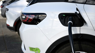 Trump unterzeichnet Resolutionen gegen Kaliforniens Politik zugunsten von E-Autos