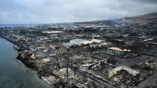 Au moins 67 morts &agrave; Hawa&iuml;, o&ugrave; les habitants regagnent les ruines laiss&eacute;es par les incendies