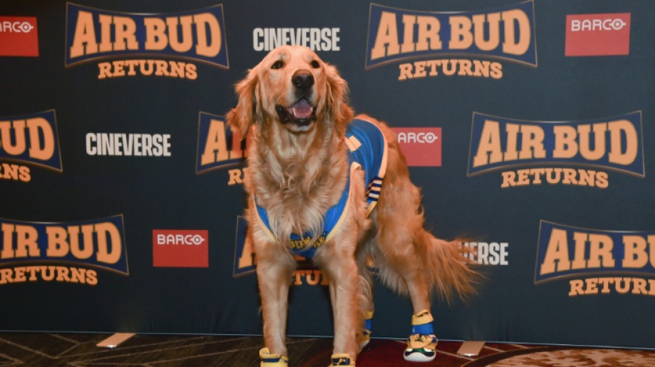 La IA no puede reemplazar a los animales actores, dice el director de un filme con un perro como h&eacute;roe