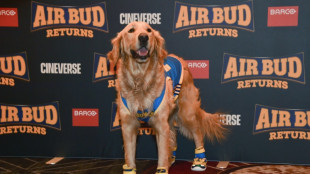 La IA no puede reemplazar a los animales actores, dice el director de un filme con un perro como h&eacute;roe
