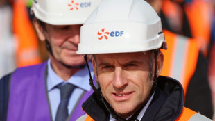 Macron re&ccedil;oit mardi la fili&egrave;re &eacute;lectrique &agrave; l'Elys&eacute;e
