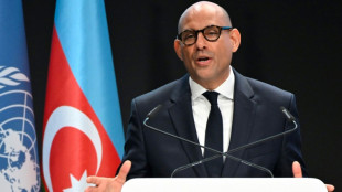 COP29: apr&egrave;s Trump, la diplomatie climatique "perdurera", assure le chef de l'ONU climat