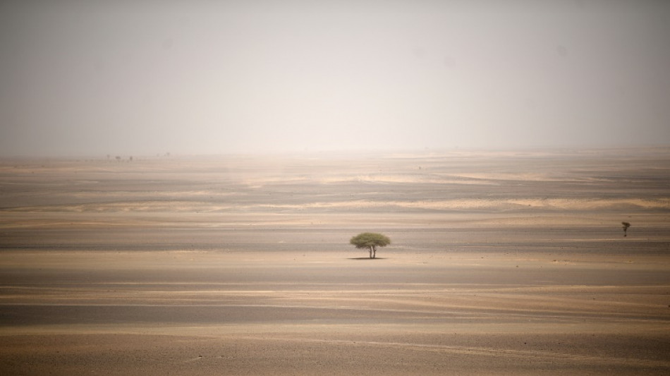 Extradition en vue pour des Fran&ccedil;ais soup&ccedil;onn&eacute;s de vouloir "sacrifier" leur fils dans le Sahara