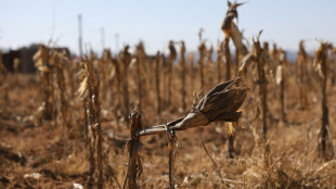 Welthungerhilfe: Aussichten f&uuml;r &Uuml;berwindung von Hunger "immer d&uuml;sterer"