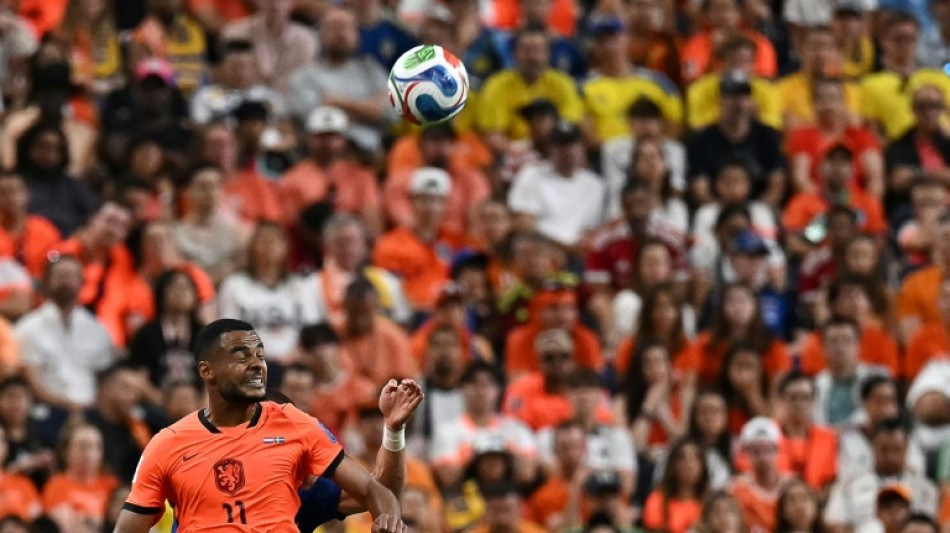 Gakpo savours 'freedom' to fire Dutch in World Cup title bid