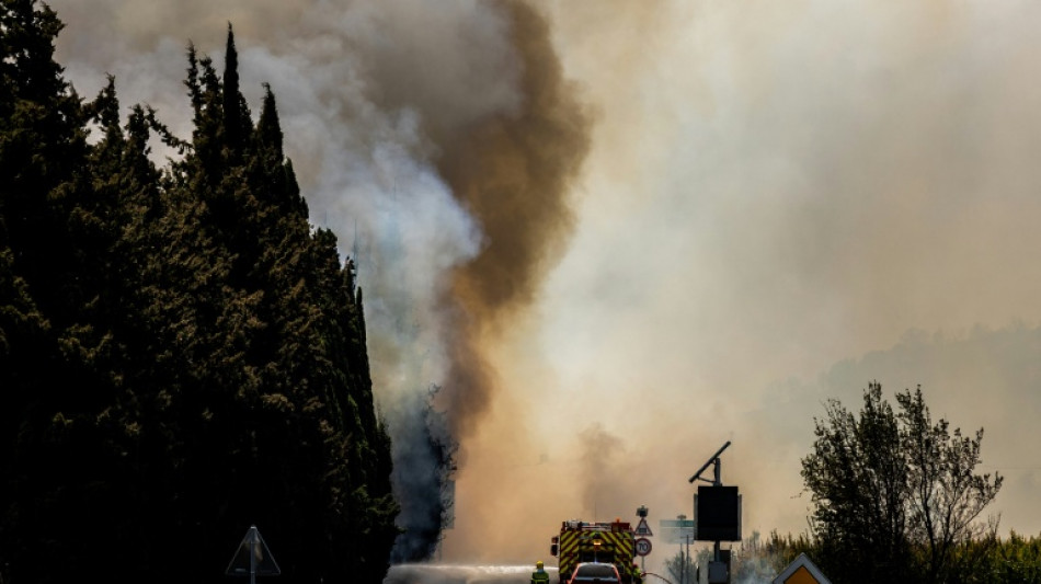 Los incendios forestales en Francia arrasaron el doble de superficie que el a&ntilde;o pasado