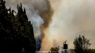 Los incendios forestales en Francia arrasaron el doble de superficie que el a&ntilde;o pasado