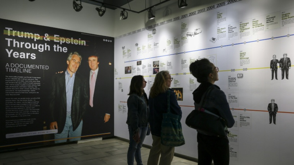 ONG exp&otilde;e ao p&uacute;blico 3,5 milh&otilde;es de p&aacute;ginas do caso Epstein nos EUA