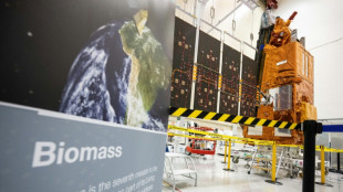 Europa planeja criar pot&ecirc;ncia de sat&eacute;lites para rivalizar com Starlink de Musk