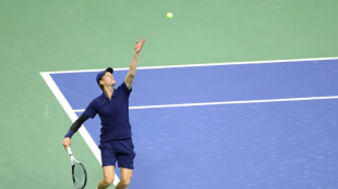 Sinner demolishes Bublik to reach US Open quarter-finals