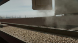 Prorrogado por dois meses acordo de exporta&ccedil;&atilde;o de gr&atilde;os ucranianos pelo Mar Negro