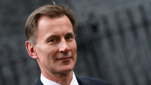 Britischer Finanzminister Hunt stellt Haushaltsplan vor