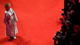 Tras pol&eacute;mica sobre Gaza la Berlinale pide calma ante presiones para tomar partido