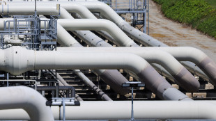 Scende il prezzo del gas in Italia a 61,66 euro a MWh
