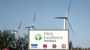 Fibre Excellence: Pigasse, R&eacute;gions et syndicats demandent le soutien de l'Etat