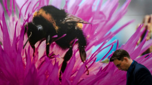 Entwurf f&uuml;r UN-Abkommen fordert j&auml;hrlich 20 Milliarden Dollar f&uuml;r Biodiversit&auml;t