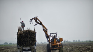 M&eacute;xico anuncia que multiplicar&aacute; sus exportaciones de az&uacute;car a EEUU