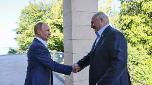 Putin besucht Verb&uuml;ndeten Lukaschenko in Belarus