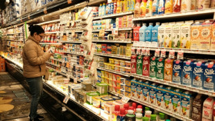 US Federal Reserve expected to hold rates steady as inflation swirls