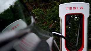 Rechtsextremes Image wegen Musk: Französische Kunden verklagen Tesla