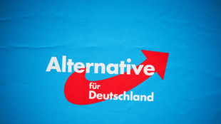 AfD-Fraktion sieht sich durch Scholz verunglimpft und klagt in Karlsruhe