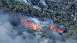 Espagne: le vent emp&ecirc;che la stabilisation de l'incendie &agrave; la fronti&egrave;re avec la France