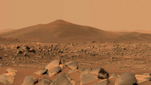 Un nouveau son nous parvient de Mars, celui d'un tourbillon de poussi&egrave;re