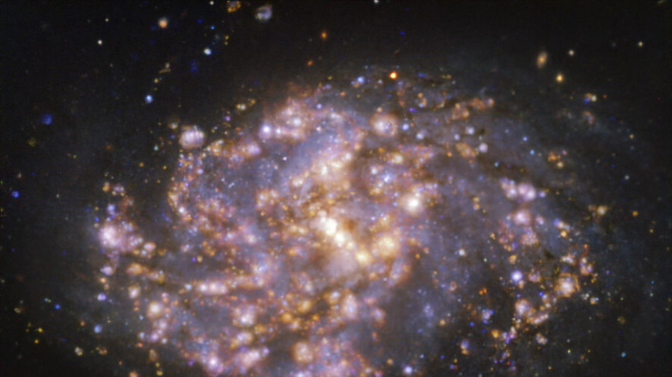 Spazio, l'italiana MetaSensing scelta per la costellazione Sirb degli Emirati Arabi