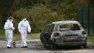 &Icirc;le d'Ol&eacute;ron: un conducteur, inconnu des services de renseignement, blesse volontairement cinq personnes