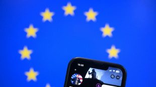 Face &agrave; Trump et Musk, les eurod&eacute;put&eacute;s cherchent un cap