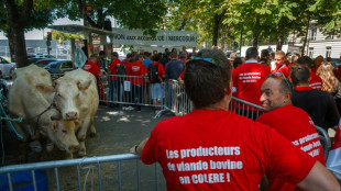 Agricultores convocan protestas en Par&iacute;s contra el acuerdo UE-Mercosur