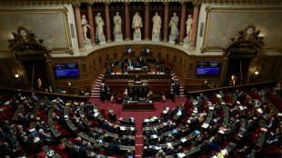 Budget: s&eacute;ance houleuse au S&eacute;nat, la gauche d&eacute;nonce un "coup de force" et quitte l'h&eacute;micycle
