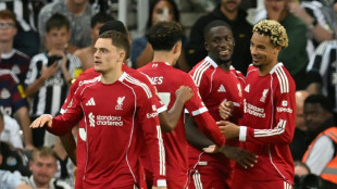 Angleterre: des transferts record entre h&eacute;g&eacute;monie, survie et livres de compte