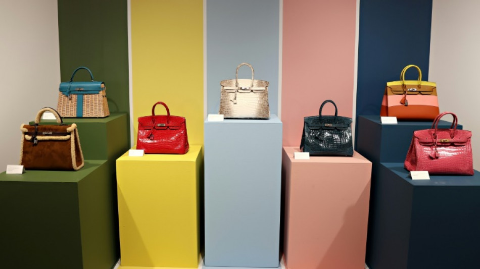 The $10 mn bag: Original Birkin smashes records at Paris auction
