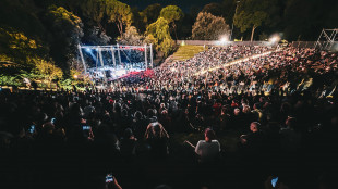 Anche Fast Animals and Slow Kids, Moni Ovadia, Laika e Giancane per Sos Palestina2