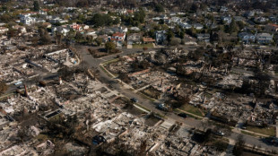 In fire-ravaged Los Angeles, a long road of rebuilding