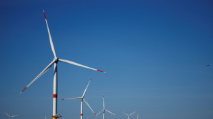 Avant la COP29, la France se dote d'une feuille de route pluriannuelle climat et &eacute;nergie