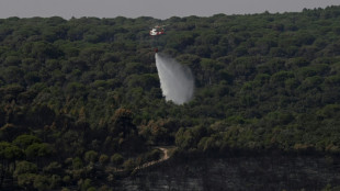 Incendies en Espagne : avec une "situation favorable", des dizaines de milliers d'&eacute;vacu&eacute;s rentrent chez eux